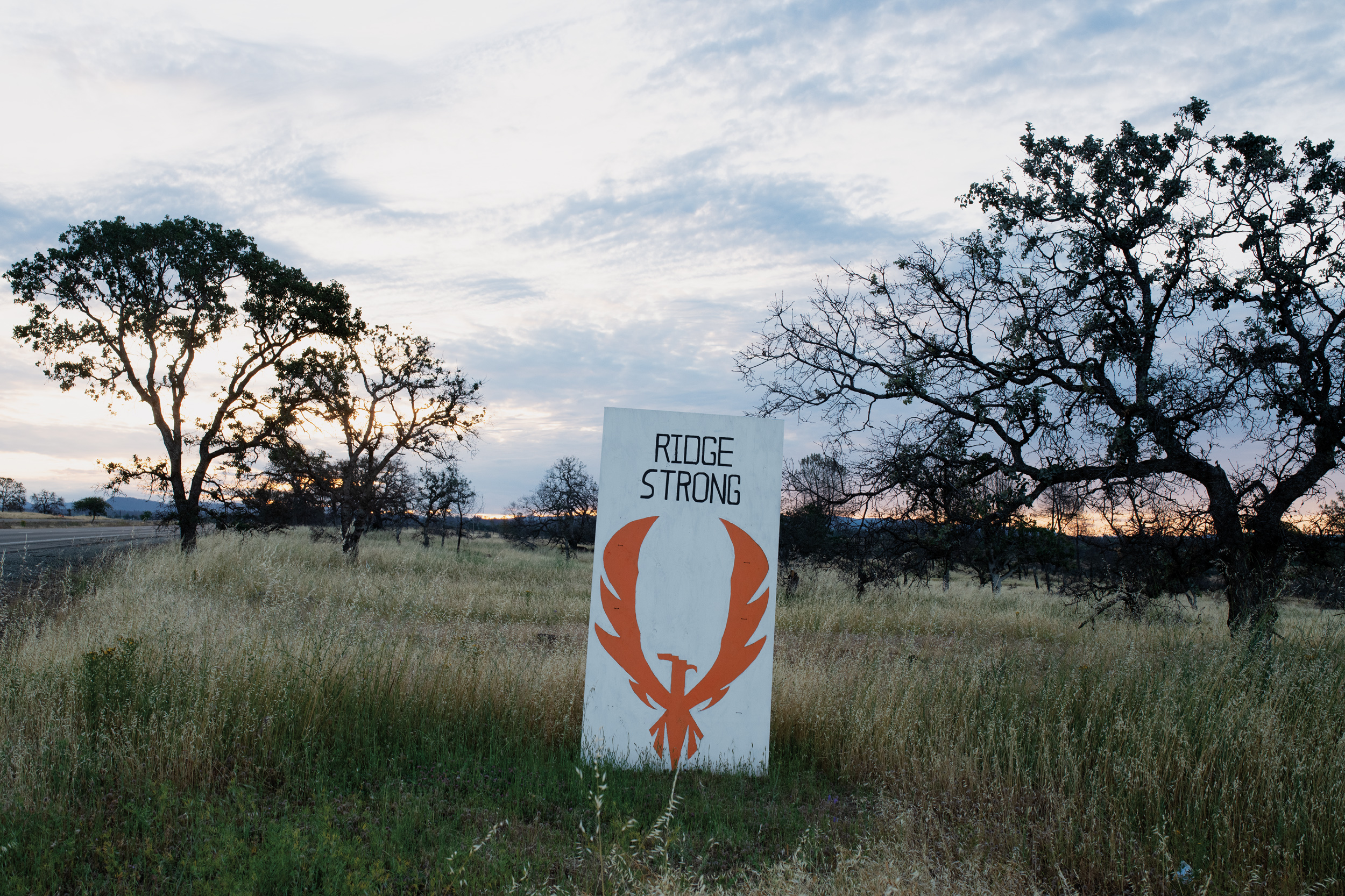 Gone — The California Sunday Magazine